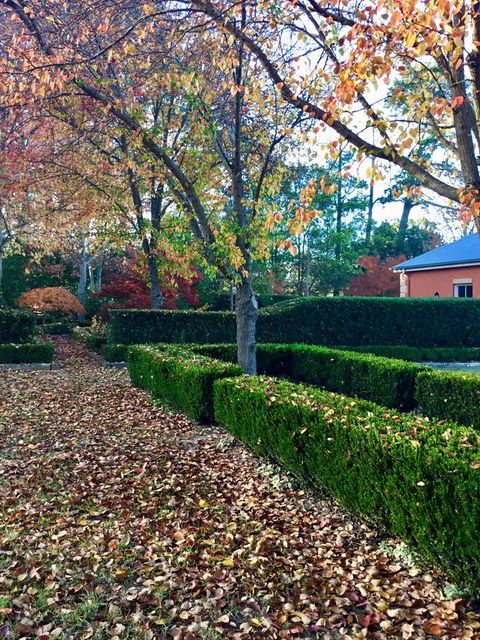 Chanticleer Gardens Barn Cottage With A Pool - Tourism Canberra 37