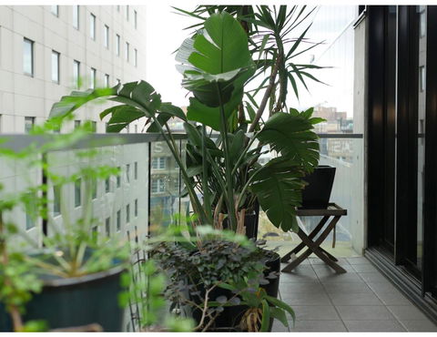 Urban Loft Close To Sydney Hot Spots - Tourism Canberra 11
