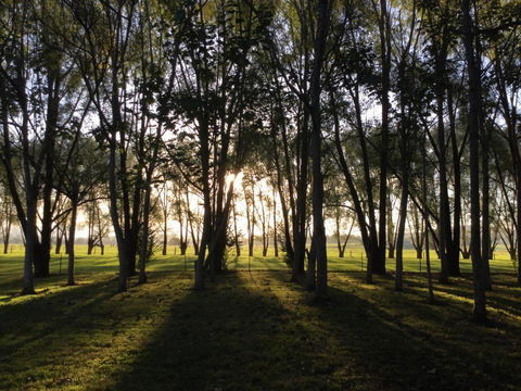 Moruya Motel - Tourism Canberra 39