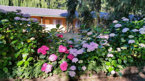 Moruya Motel - Tourism Canberra 28