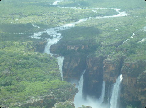 Mercure Kakadu Crocodile - Tourism Canberra 33