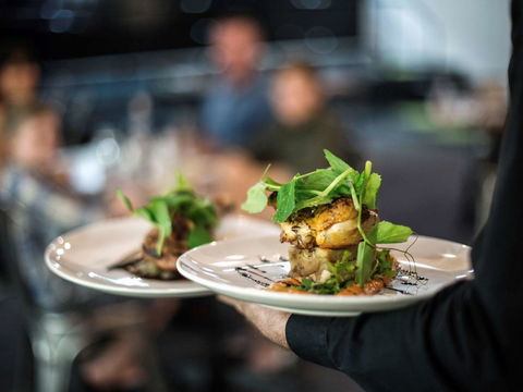 Mercure Kakadu Crocodile - Tourism Canberra 15