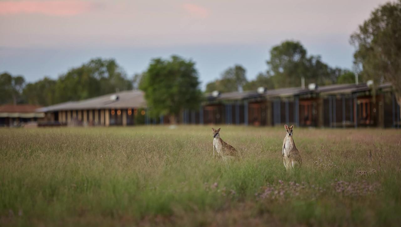 Ramingining NT Tourism Canberra