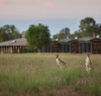 Wildman Wilderness Lodge - Tourism Canberra