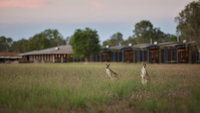 Book Point Stuart Accommodation Vacations Tourism Canberra Tourism Canberra