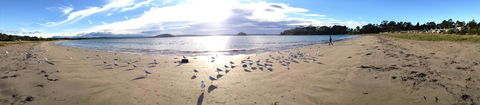 Corrigans Cove - Tourism Canberra 2