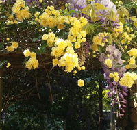 Bowral Road Bed and Breakfast - Tourism Canberra