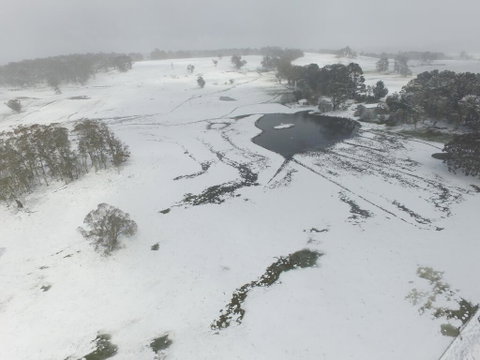 Brae Lossie - Tourism Canberra 1