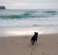 Breakers at Mudjimba Beach - Tourism Canberra