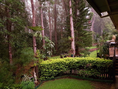 Buderim Forest Hideaway - Tourism Canberra 2
