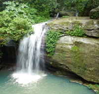 Buderim Forest Hideaway - Tourism Canberra