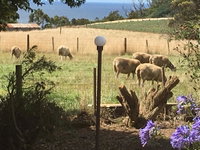 Book Table Cape Accommodation Vacations Tourism Canberra Tourism Canberra