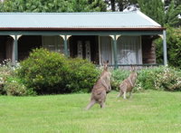 Book Mount Victoria Accommodation Vacations Tourism Canberra Tourism Canberra