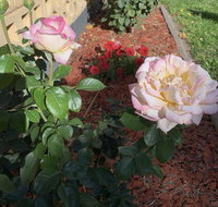 Central Tranquility - Tourism Canberra