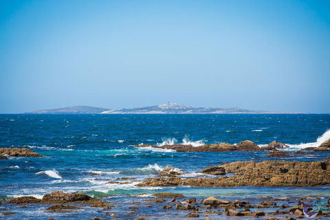 Cherrybush @ Mystery Bay - Tourism Canberra 3