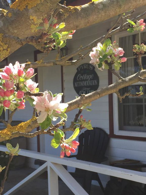 Coonawarra's Pyrus Cottage - Tourism Canberra 3