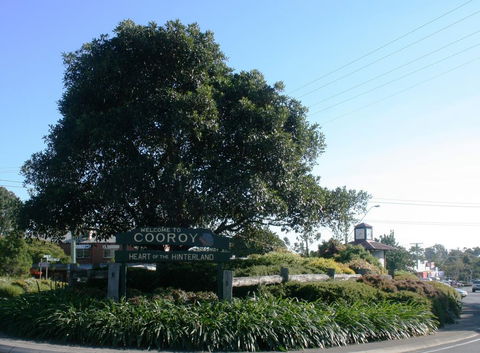 Cooroy Luxury Motel Apartments - Tourism Canberra 2