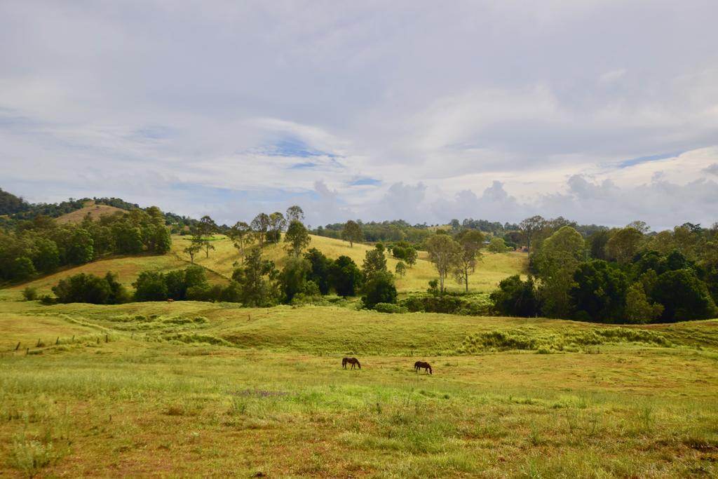 Kandanga QLD Tourism Canberra