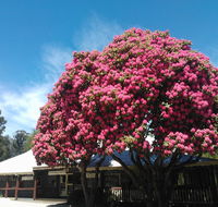 Crossways Country Inn - Tourism Canberra