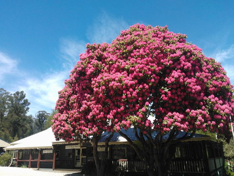 Crossways Country Inn - Tourism Canberra 0