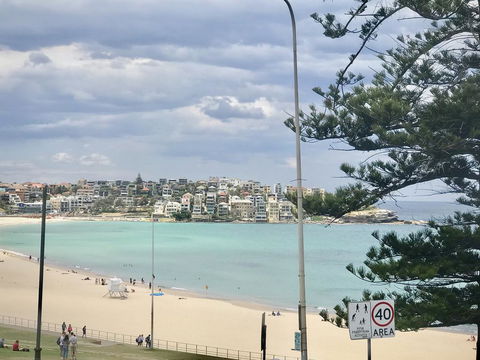 D'Luxe Designer Den Bondi-Ocean View Apartment - Tourism Canberra 1
