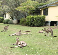 Depot Beach Cabins - Tourism Canberra