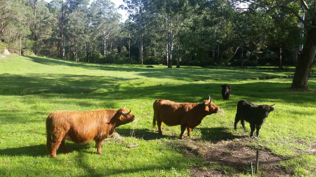 Glenhaven NSW Tourism Canberra