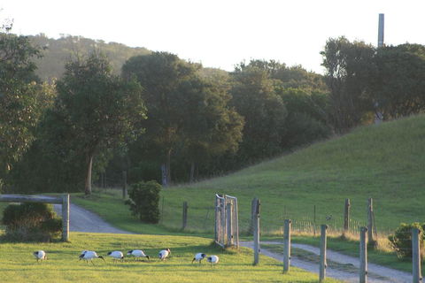 Driftwood Villas - Tourism Canberra 1