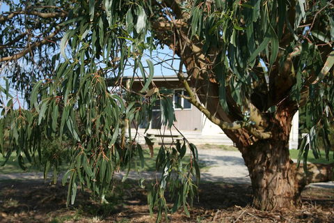 Driftwood Villas - Tourism Canberra 3