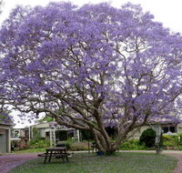 Ecotel Narooma - Tourism Canberra