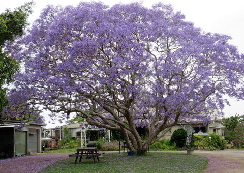 Ecotel Narooma - Tourism Canberra 0