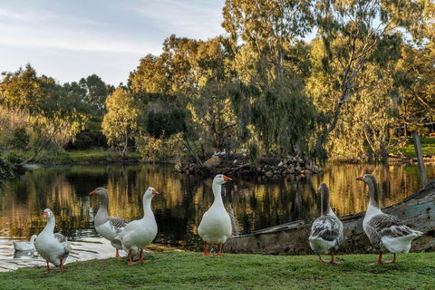 Empire Spa Retreat - Tourism Canberra 2