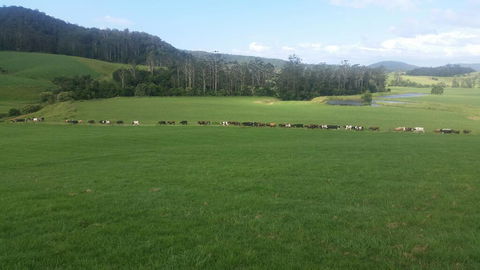 Farm Golf - Tourism Canberra 2