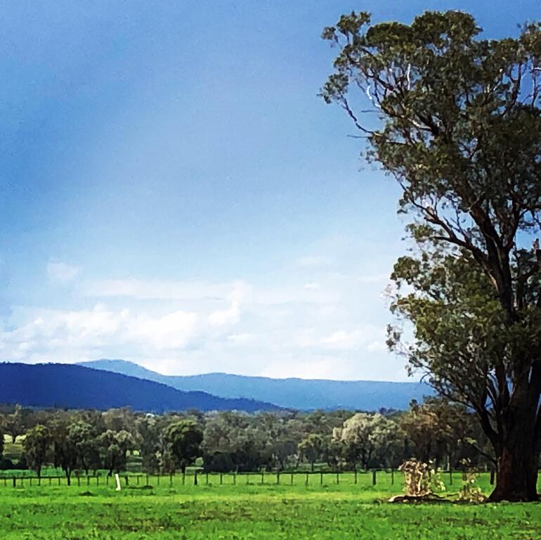 Timbumburi NSW Tourism Canberra