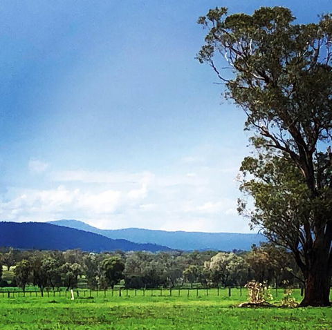 Fourjay Farmstay - Tourism Canberra 0
