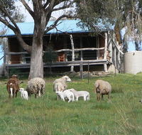 Gaddleen Grove Cottages - Tourism Canberra