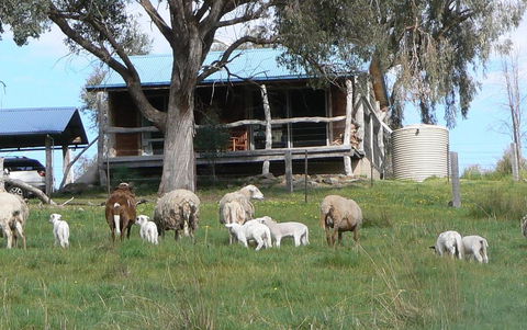Gaddleen Grove Cottages - Tourism Canberra 0