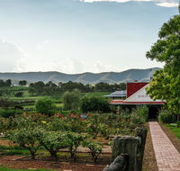 Hanging Tree Wines - Tourism Canberra