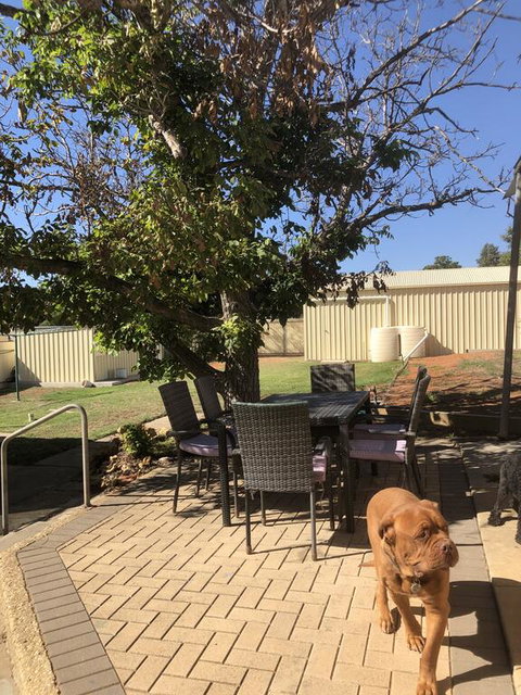 Happy Hours - Tourism Canberra 2