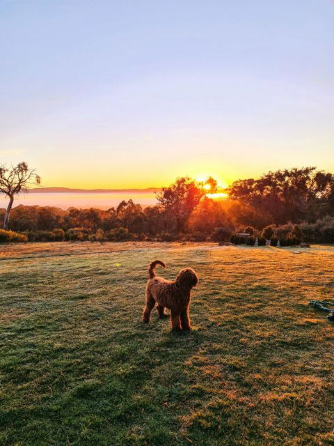 Horningsea - Tourism Canberra 3