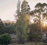 Karribank and the Karri On Bar - Tourism Canberra