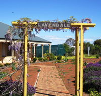 Lavendale Farmstay and Cottages York - Tourism Canberra