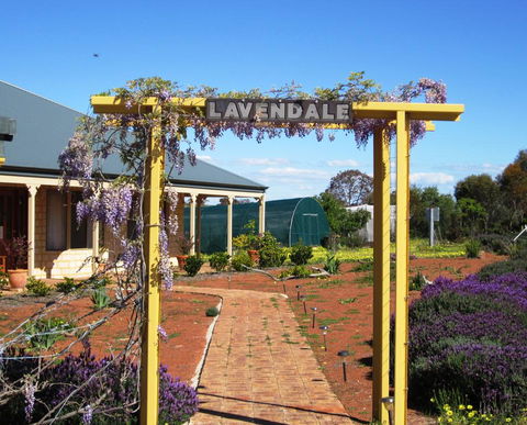 Lavendale Farmstay And Cottages York - Tourism Canberra 0