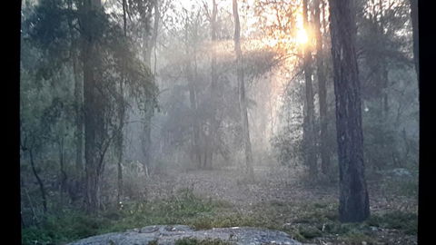 Lucky Mountain Cottage - Tourism Canberra 1