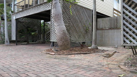 Magnetic Haven Unit 6 - Tourism Canberra 2