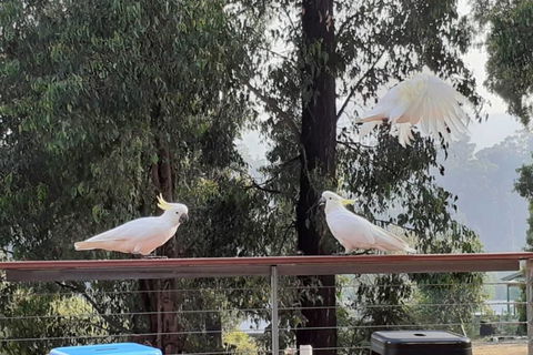 Merry Mary Casa - Tourism Canberra 3