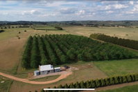 Millthorpe Truffles - Gorgeous getaway for 2