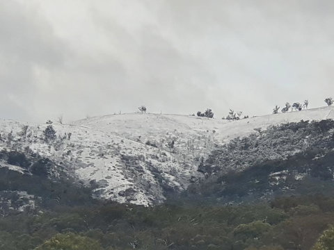 Mimirosa Bush Cabin - Tourism Canberra 1