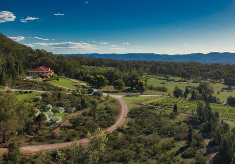 Mudgee Homestead Guesthouse - Tourism Canberra 1