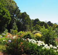 Murrindindi - Tourism Canberra